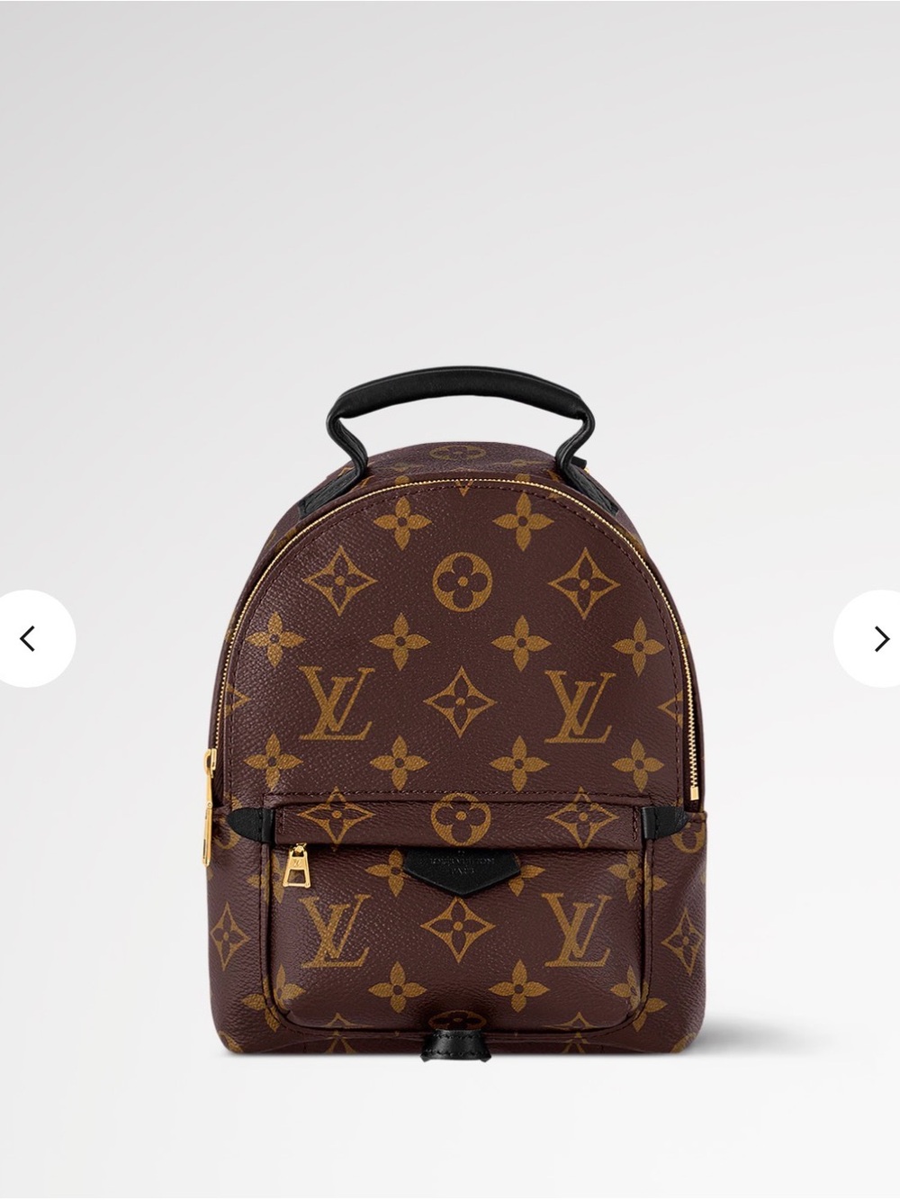 Louis Vuitton Palm Springs Monogram Mini Backpack crossbody bag purse